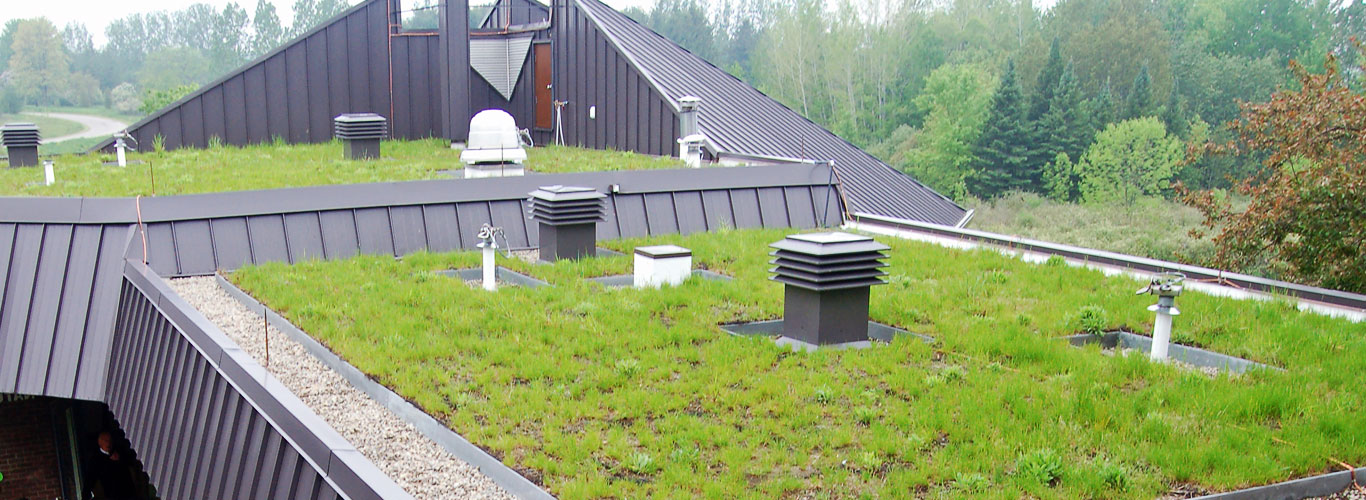 podlahová rohož